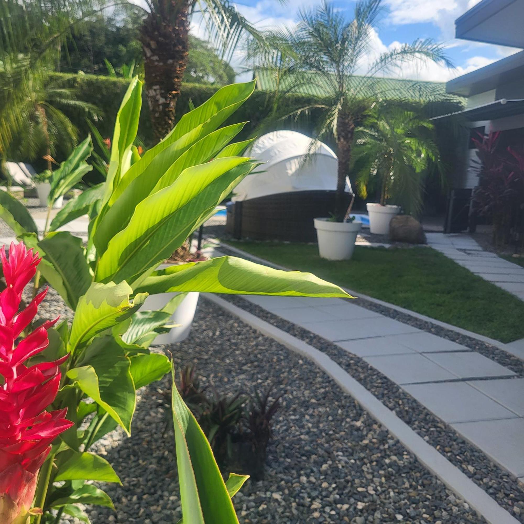 Madre Terra Bed & Breakfast Uvita Exterior photo
