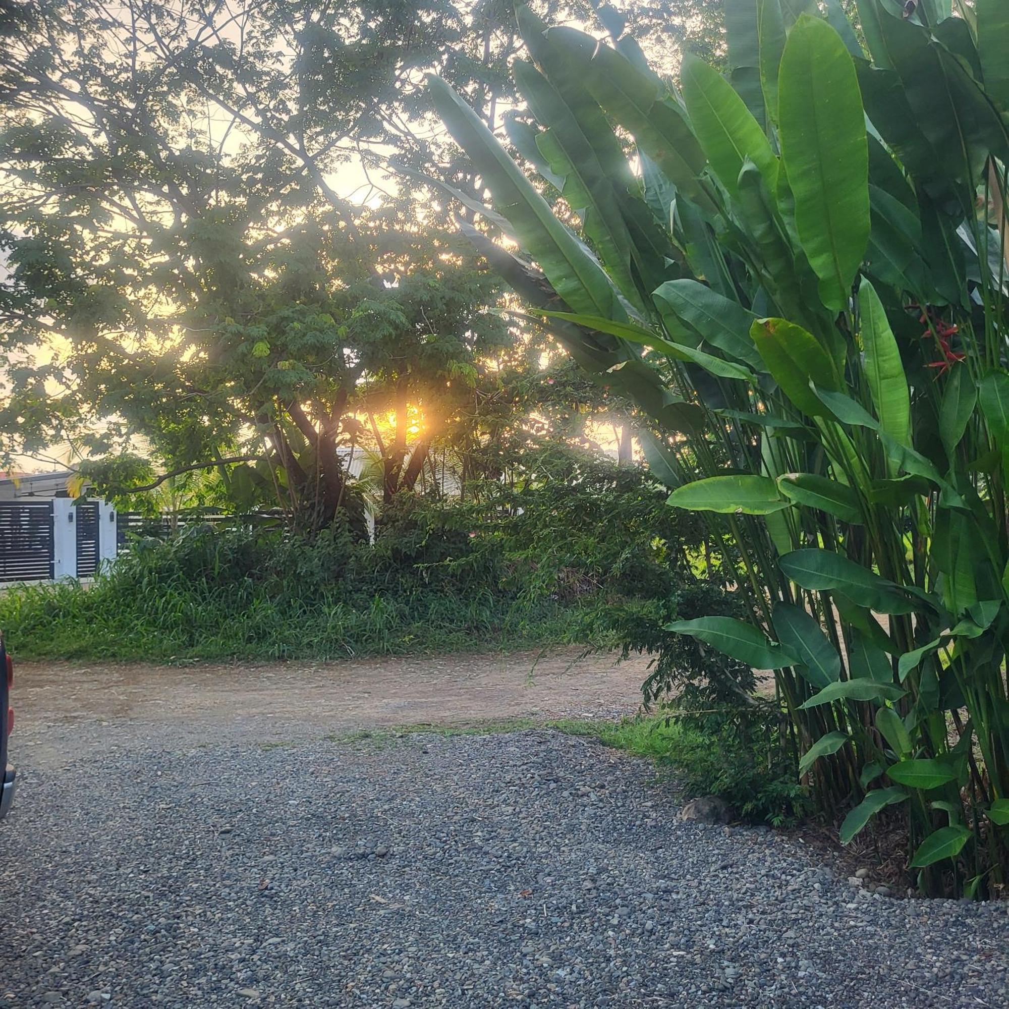 Madre Terra Bed & Breakfast Uvita Exterior photo